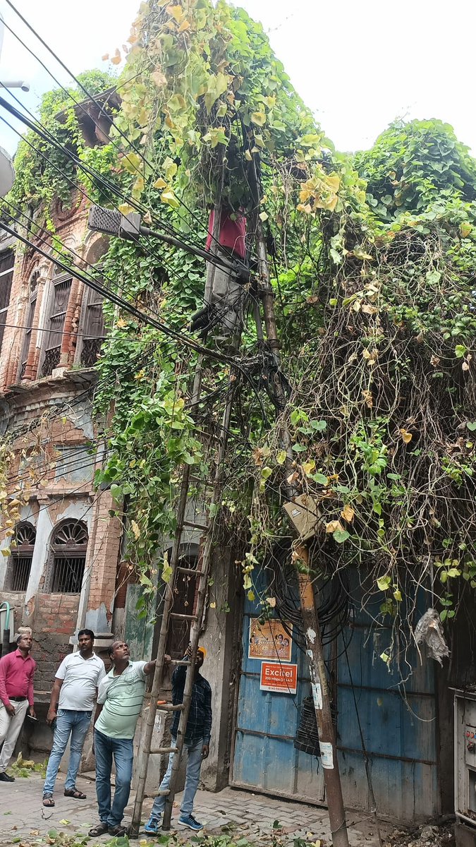 euddchowk's tweet photo. खंड चौक क्षेत्र के सब स्टेशन घंटाघर से निर्गत बाजार क���ली जी फीडर पर खुन खुन जी रोड के पास मिर्जा मंडी एरिया में एल टी पल पर चढ़ी बेल की कटाई छटाई एवंसाफ सफाई कराई जा रही है
@mvvnlmd
 @mvvnlhq
@sdonadanmahal
@eusdchowk
 @mvvnlcisgomti2
@aksharmabharat
  @SE_EUDC_CHOWK https://t.co/IvXkWIgnX6