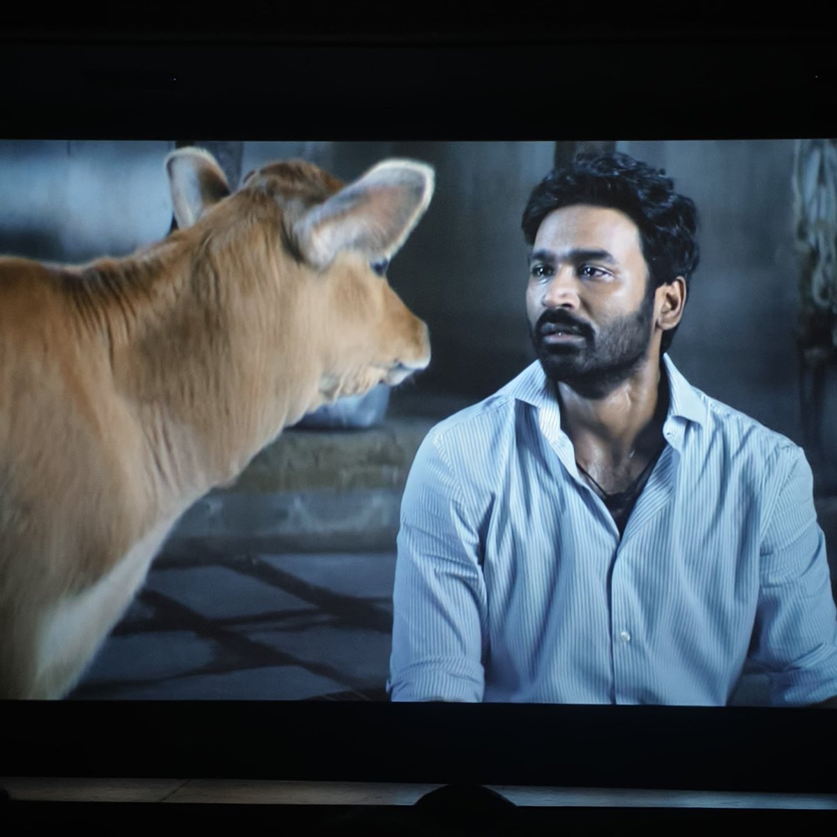 rajuuhhhh's tweet image. Movie peaked here ♥️