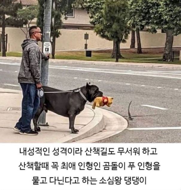 ㅠㅠ 기여워