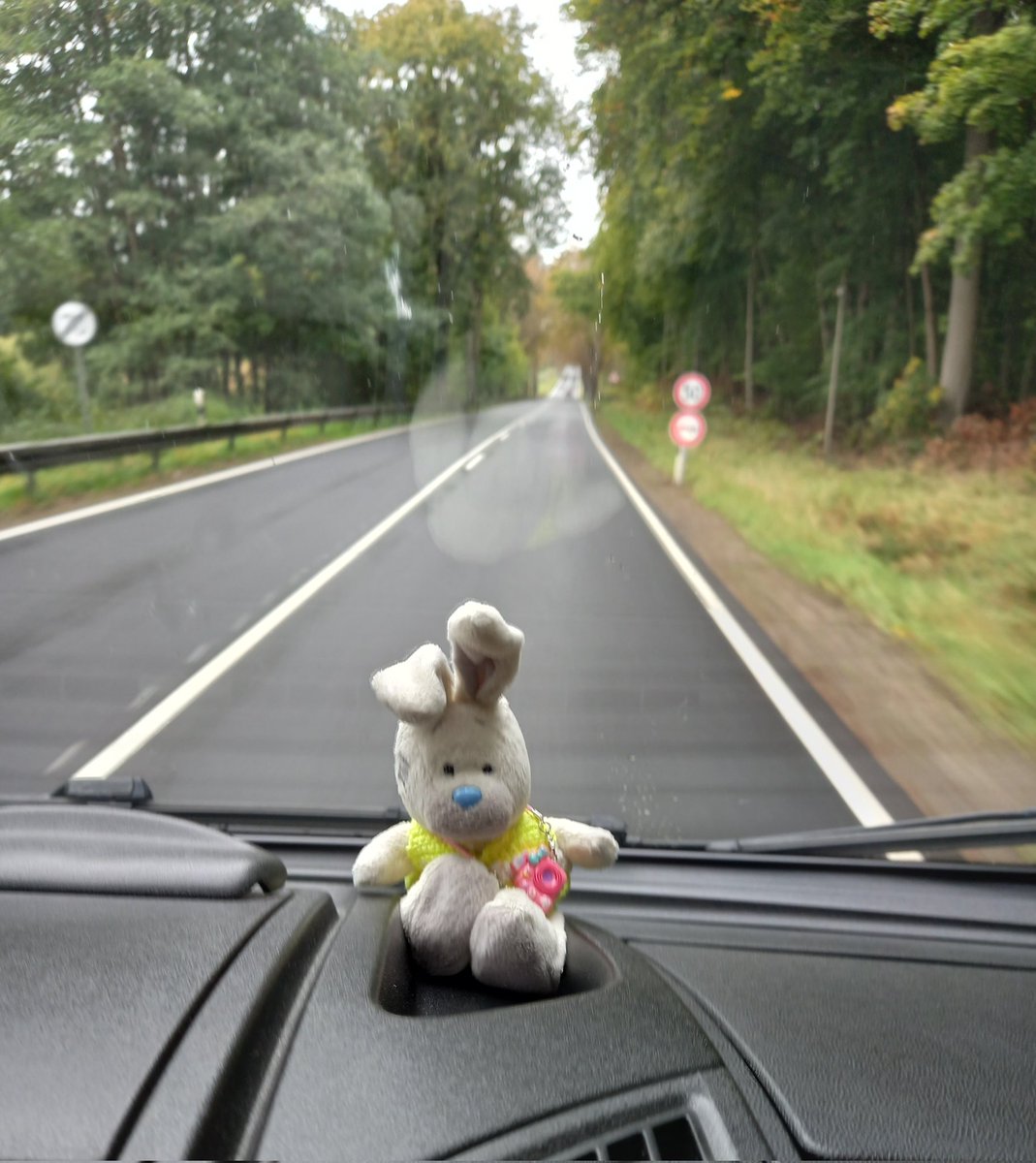 Yill10165921's tweet image. Wir fahren los, wir haben es wirklich geschafft, puh 🥴
#Reisehase 
#Spanien