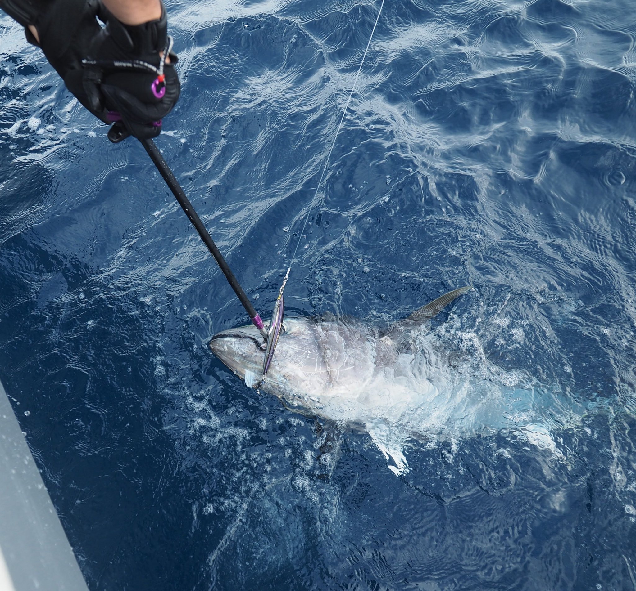 スタジオオーシャンマーク フックリムーバー HR550L PROMODEL