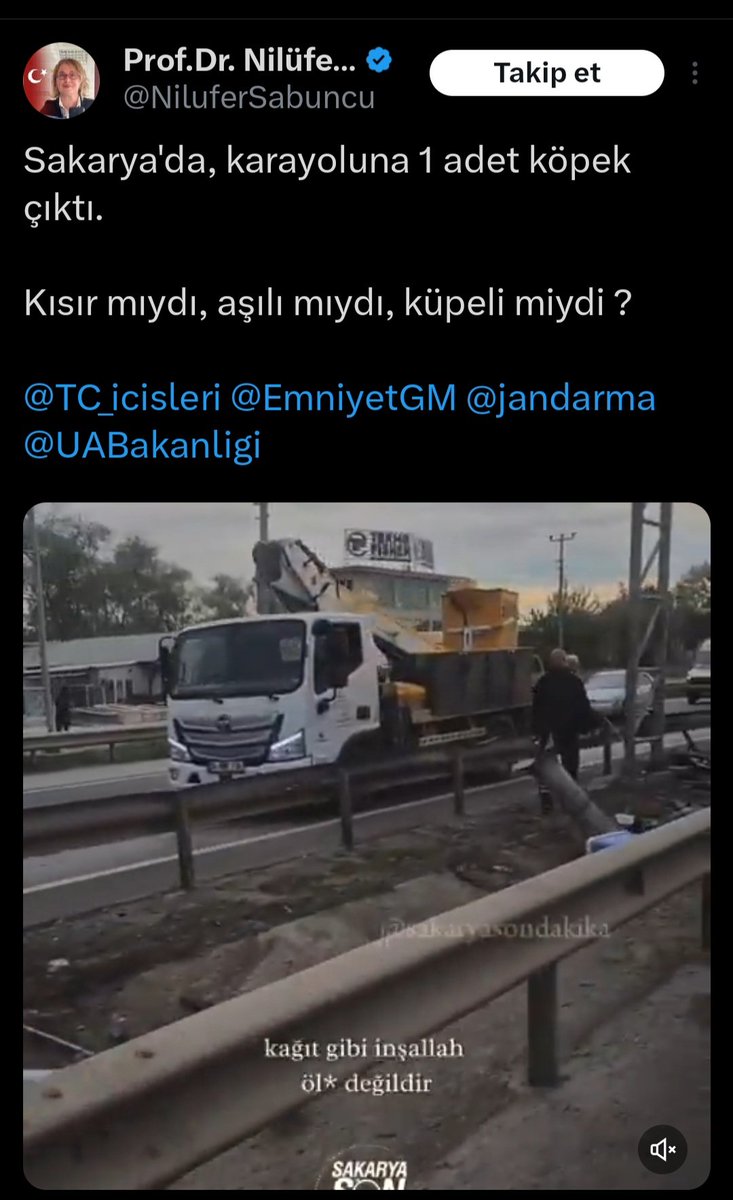 Bir hayvan düşmanı daha! Köpek yerine bir karacada yola çıkıp bu kazaya sebep olabilirdi onlarıda mı yok etmek için böyle bir paylaşım yapacaktın? İstatistiklere bir bak bakalım ülkede günde olan trafik kazalarının % kaçı hayvanlar kaçı insanlar sebebi ile oluyor! #SONDAKİKA