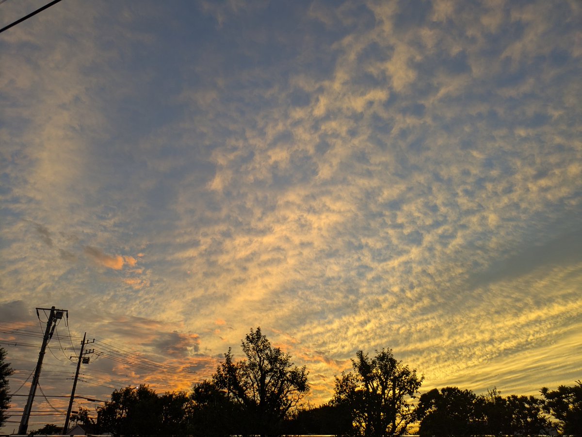 おぉ～✨
いい感じだな～😚