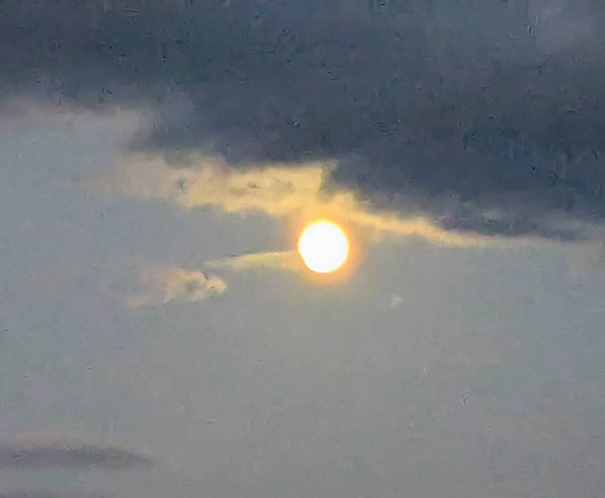 Hunter's Moon about to be lost behind Scottish cloud. It is the time of Pitlochry's Enchanted Forest and the world and his wife are here.