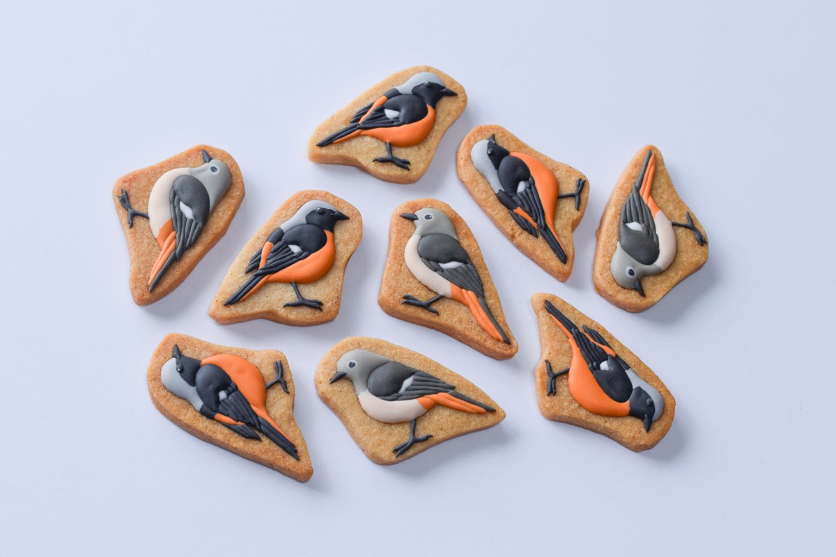 【祝！初オンライン販売🎉】

今まで対面販売のみでしたが、なんとこのたび初の通販を解禁します。
秋を感じる鳥「ジョウビタキ」オス・メスのクッキーをお届けです🎃

ウサギノネドコさまのオンラインショップにて、10月10日（金）20:00より販売開始です。
詳細はリプ欄にて！