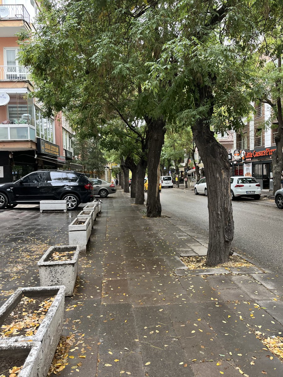 bugun ankaraya sonbahar geldi okula giderken vega-ankara dinleyip vibeladim hemen