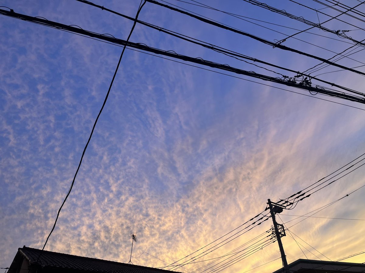 Jun_no_coffee's tweet image. 今晩は！綺麗な色の空ですね✨
24日、25日はここ数年開催させて頂いてる「行徳トリックオアトリート」やります‼️店舗によって開催日時が違いますので、確認して頂いて是非お子様といらして下さいね👻各店舗様とも地域に根ざして子供達を見守ってくれる心強い仲間だと思っています😊
#いまそら
#行徳