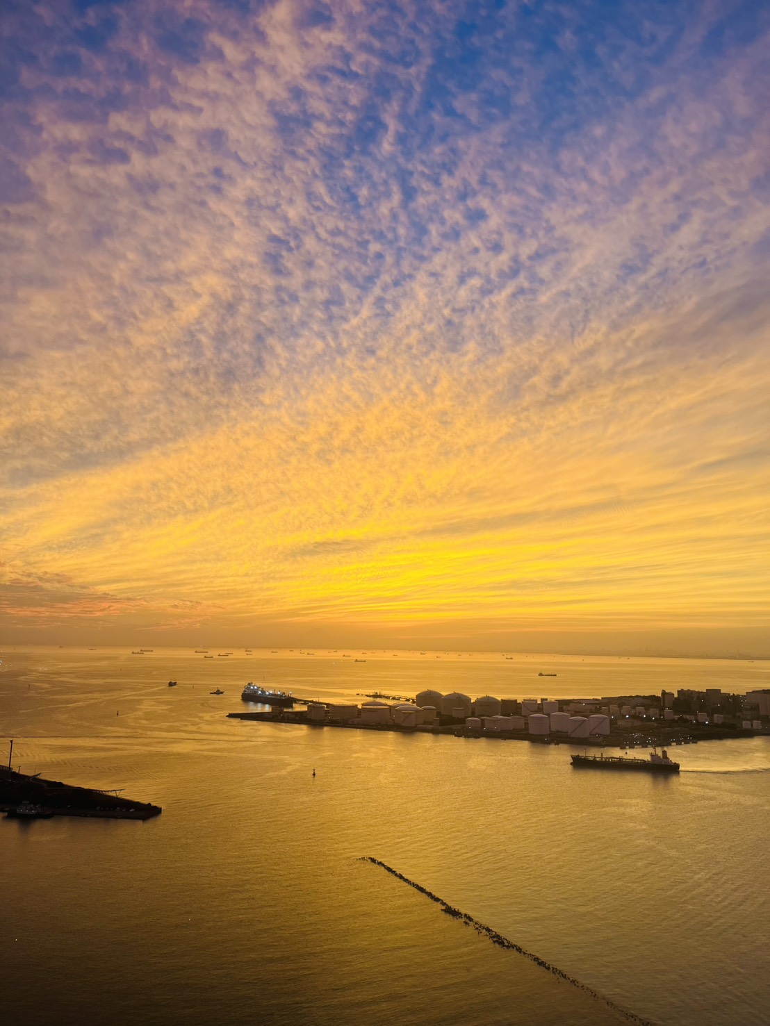 千葉ポートタワー【公式】 on X: 