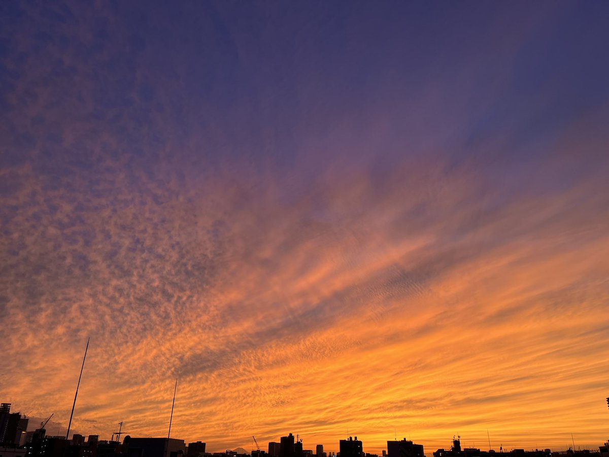 we_are_moories's tweet image. ほら言った通り
禍福は糾える縄の如し
めちゃきれいな空+🗻
見えるでしょ?^^
#イマソラ
#いまそら