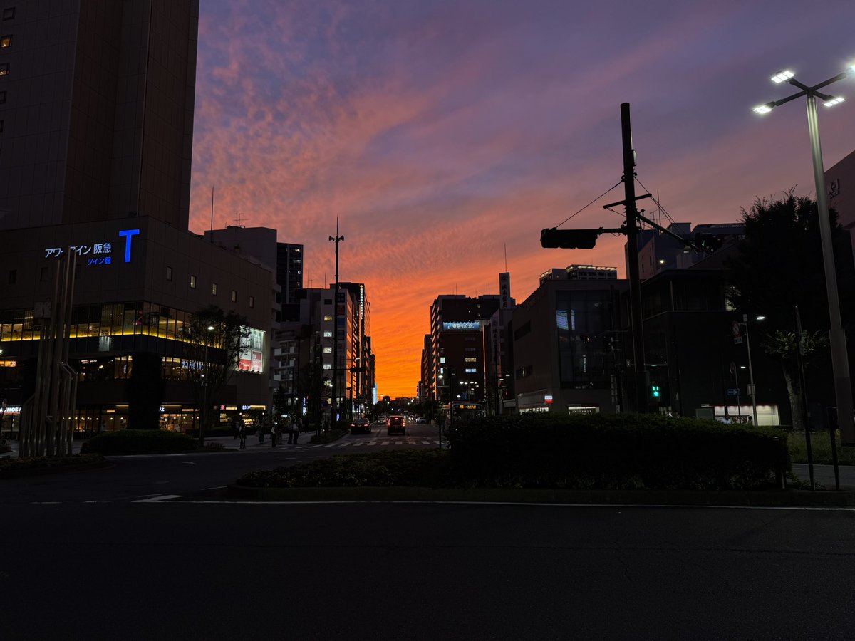 T1N1a5's tweet photo. 暗めで撮ったらいい感じに撮れた https://t.co/AzqfGLCKu2