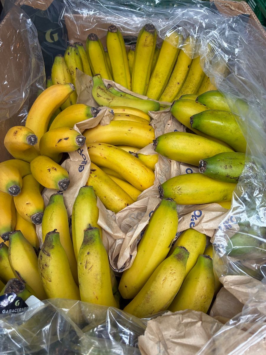 Europese bananen - Boeren- en streekmarkt woensdag - 16u tot 19u 👨‍🌾 - mailchi.mp/2e36c13975fc/i…