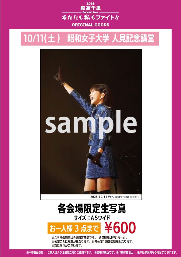 森高千里、パンフレット、2017年、30th CONCERT 2017 森高千里、パンフレット、2017年、30th CONCERT 2017 森高千里