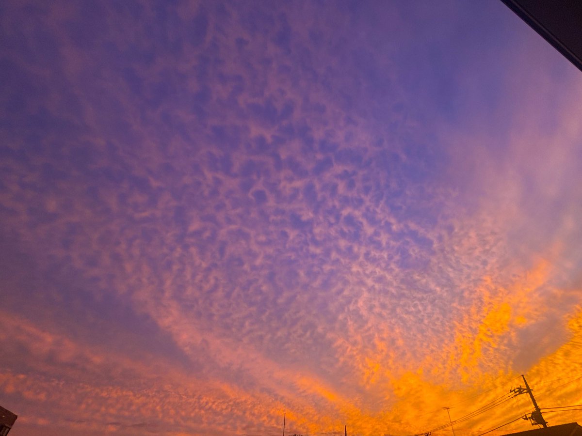 夕焼けが本当に秋の空！
思わず撮ったけどもっともっと綺麗に見える場所でみたかったなー。