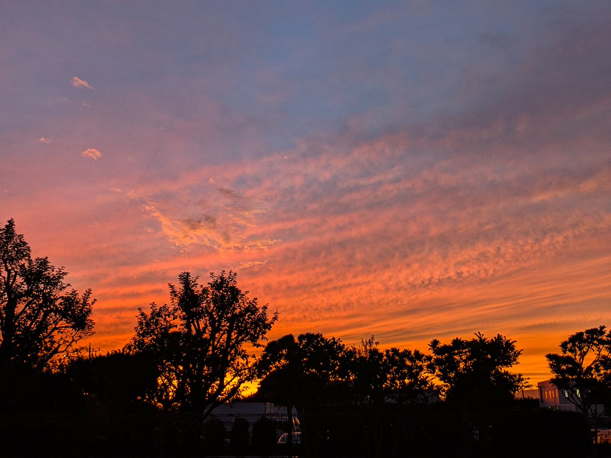 えー！今日スゴいよ！！😳
みんな見てー♪🥺