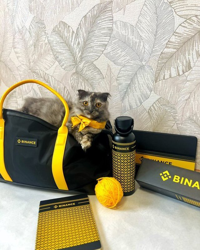 sRick_C137's tweet photo. @BNBCHAIN When you join Binance as an intern but end up becoming the mascot. https://t.co/NFlgJxxFY7