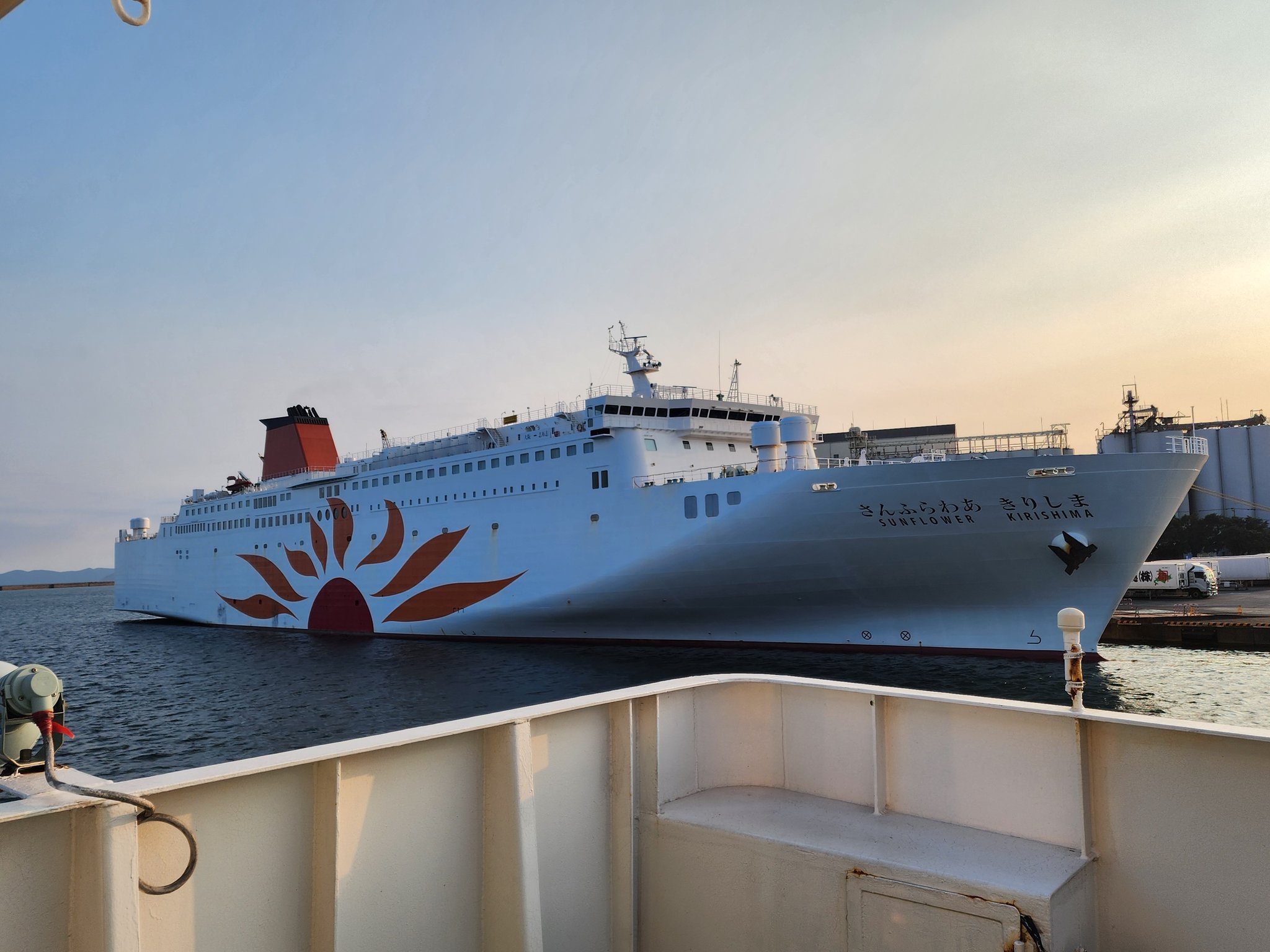 【現最安・未使用】陽気な副船長、チャム　CF 日本語　FAB FaB通販 TOKYO FAB 【Flesh and Blood 専門店】