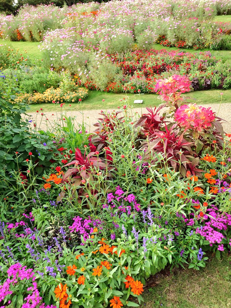 今日は里山ガーデンフェスタに行って来ました!
お天気も良く、はな🐕️も🐶OKのコースを歩きましたよ🐾
写真はカメラ目線のはな🐶と🍙が欲しくて身を乗り出している姿と🥰
#ポメラニアン
#犬好きさんと繋がりたい
#秘密結社老犬倶楽部