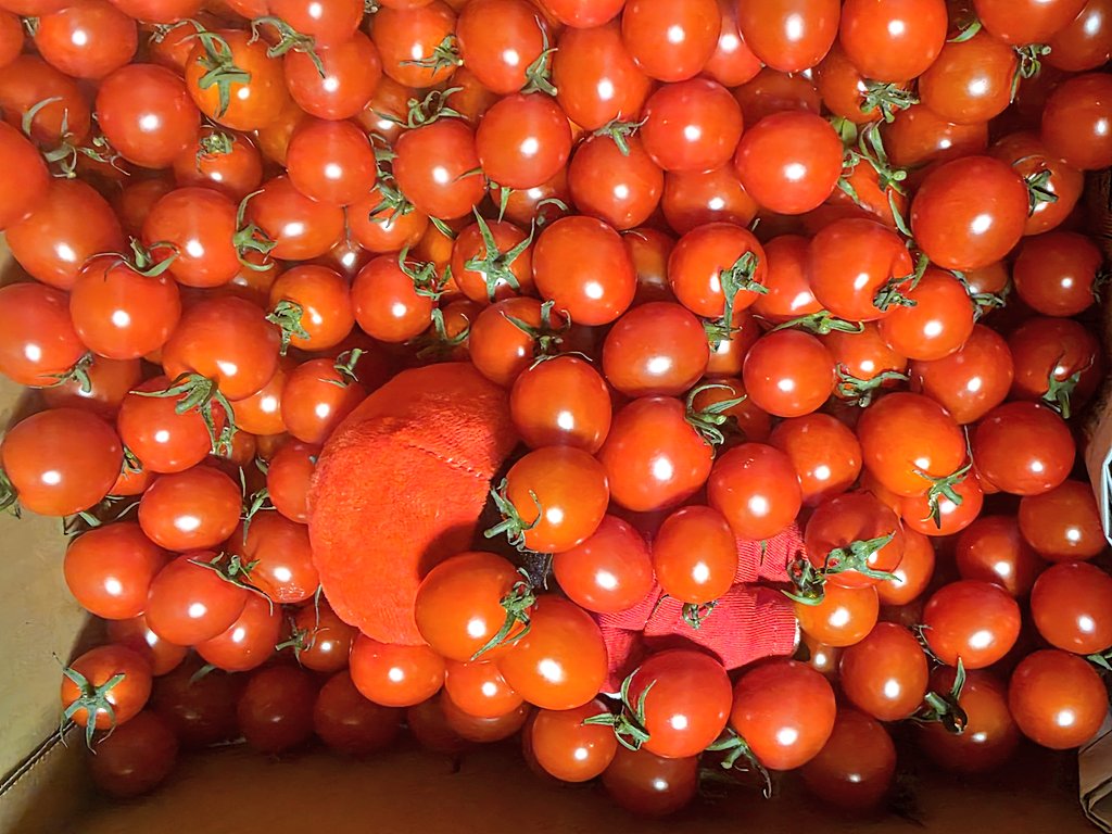 友達から🍅が届いた ビニを探せ♥️ #ASTRO #MOONBIN #TOMATO