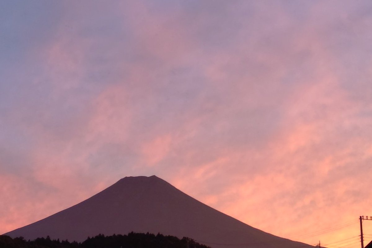 じきの畑　夕　2022 𝑆ℎ𝑖𝑧𝑢𝑘𝑎❈ on X: 