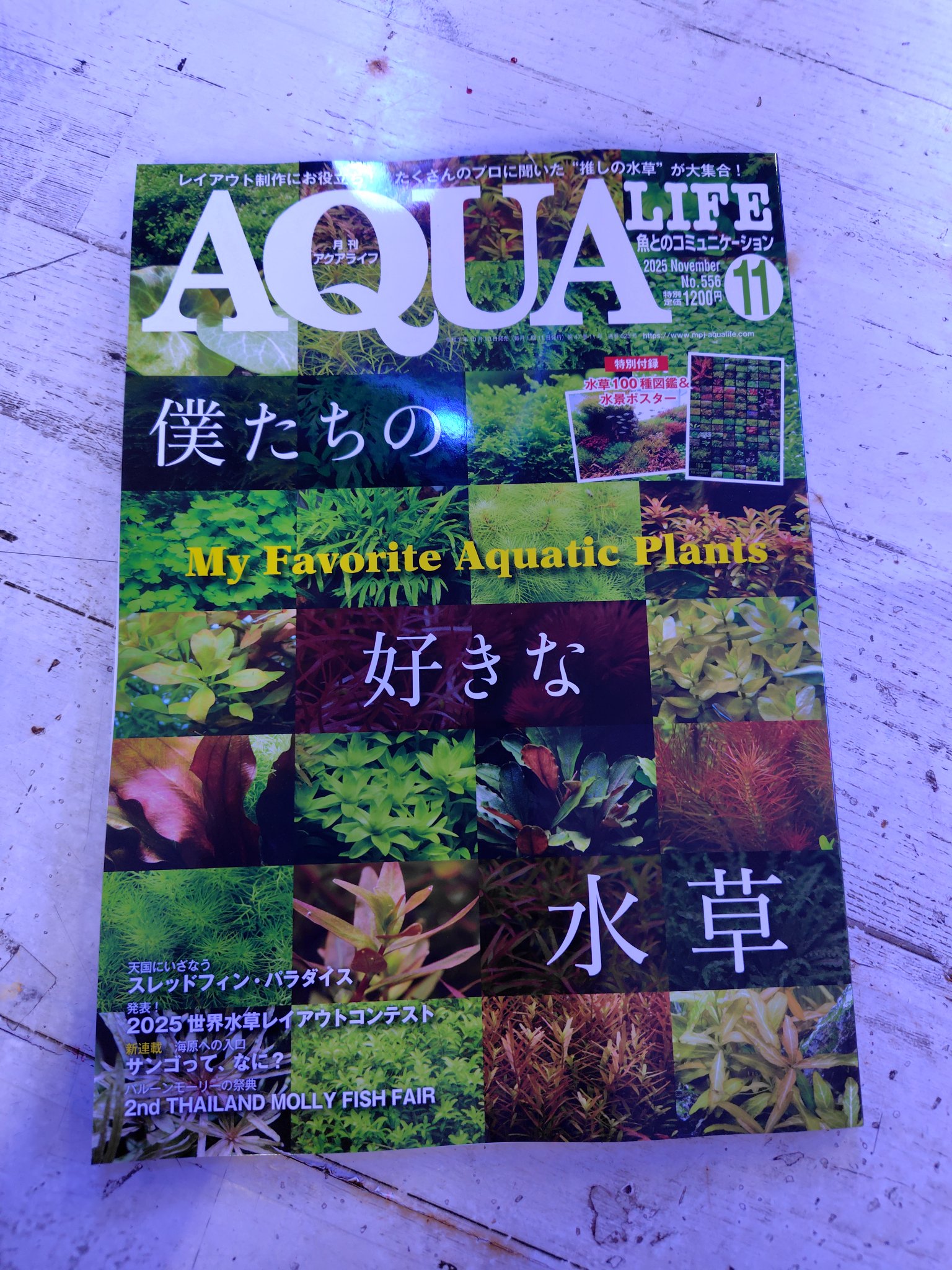【映画館用両面ポスター】ライフ・アクアティック 東映 - 株式会社アドブレーン
