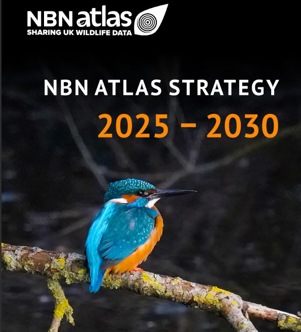 NBNTrust's tweet photo. The NBN Atlas Strategy 2025–2030 outlines how we’ll make the NBN Atlas the cornerstone of the UK’s biodiversity data infrastructure, helping us better understand, protect, and enhance the natural world through data innovation and cutting-edge technology.
https://t.co/NC4VfuVI69 https://t.co/AID2rQhSvI