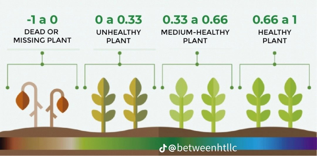 Pilusa_Fabian's tweet image. Healthy vegetation absorbs red light and reflects near-infrared (NIR) light but satellites detect both light sources which then enables them to use light sources to assess vegetation health.

#CoolScience😎 #PlantScience #RemoteSensing