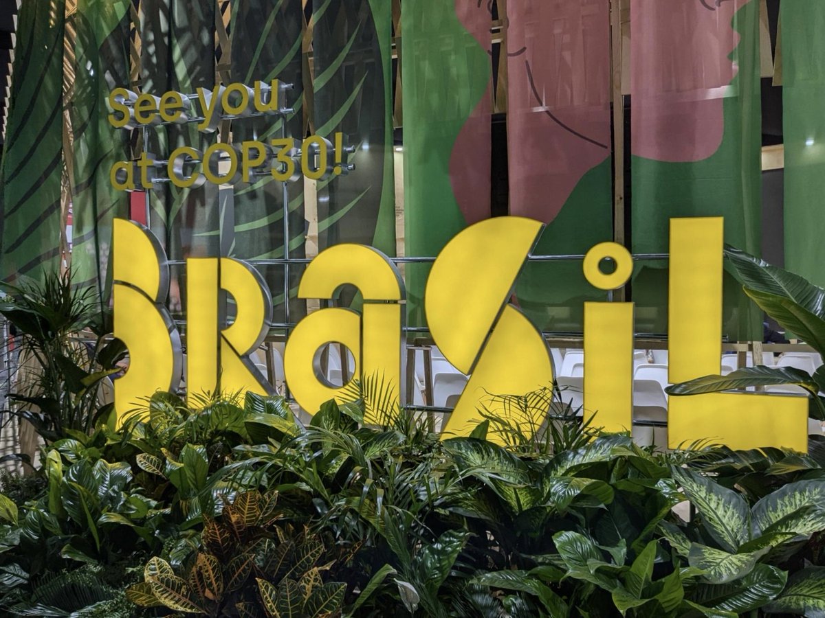 CLEW Journalism Network tweet media