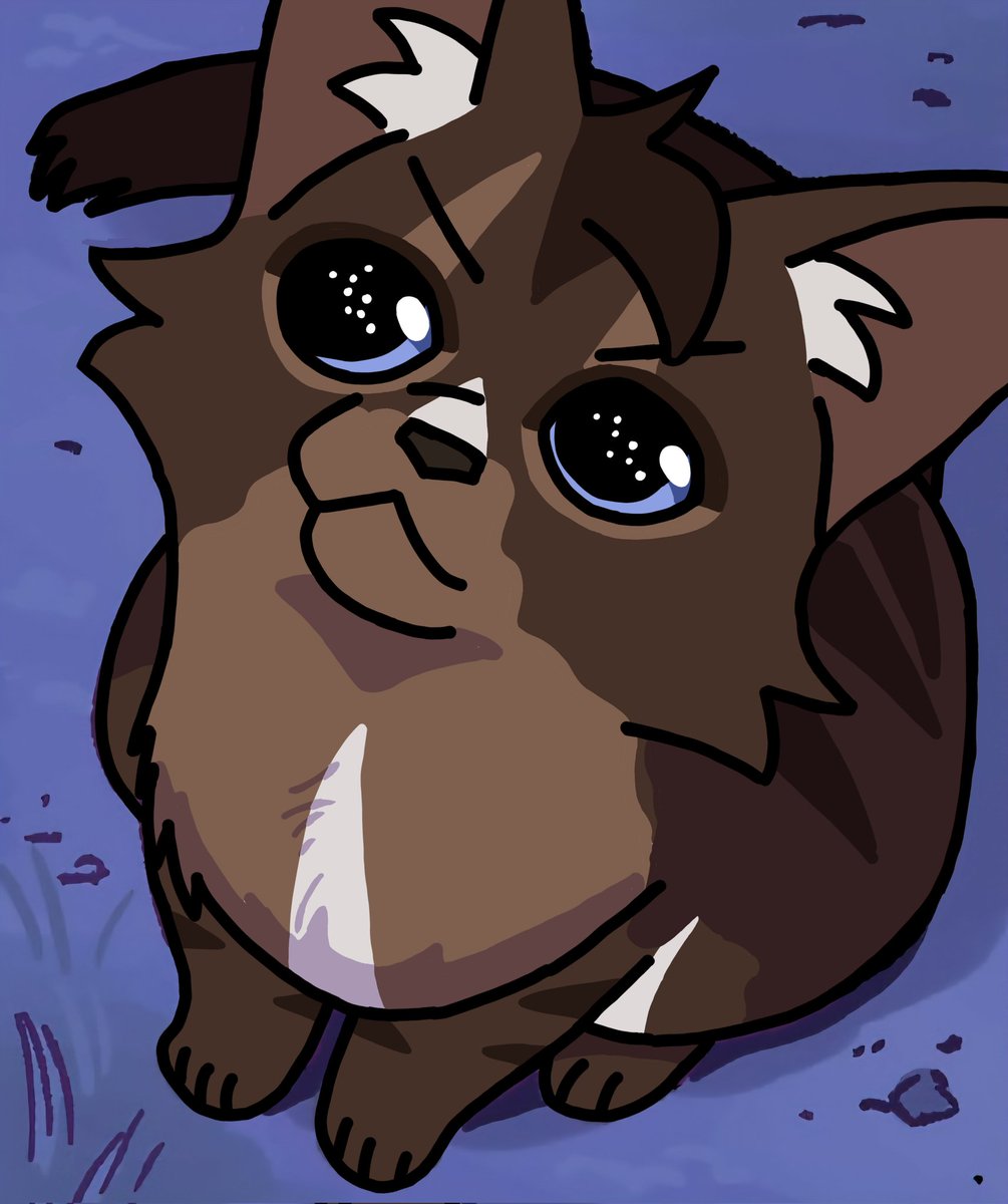 Hawkfrost tweet media
