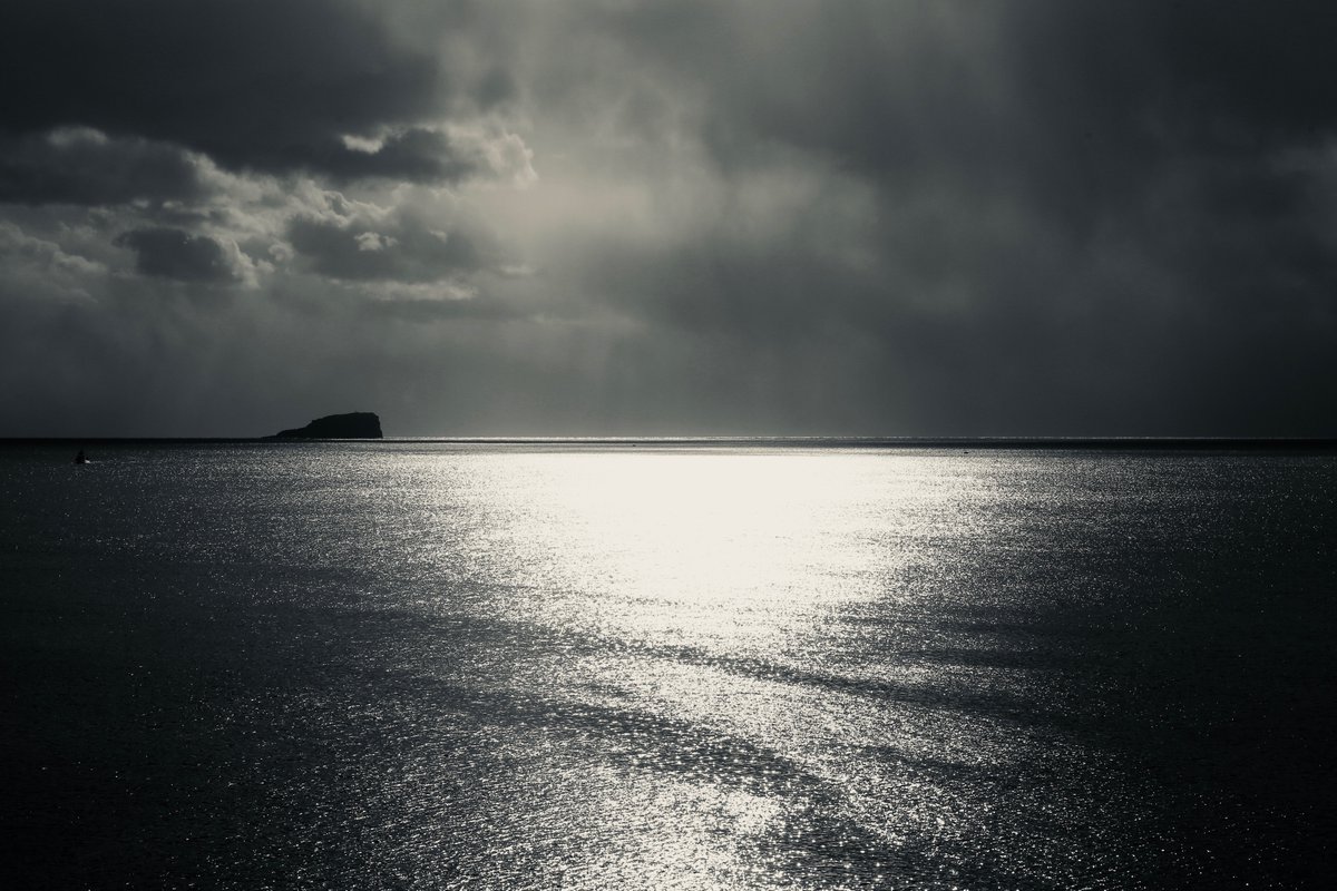 Stacey Duff | 丁丰 tweet media