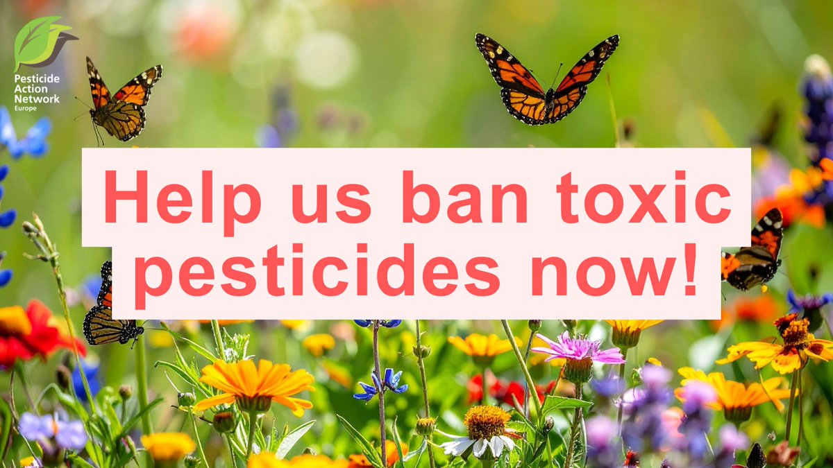 EuropePAN's tweet photo. 🚨🚜 Only one week left to raise our voice against the weakening of food safety rules 🐝🌿
Tell the @EU_Commission  that you want better protection of health and biodiversity. This tool makes it easy to react to the EU consultation: https://t.co/v4L7bLGW8m https://t.co/3z4tO0Rdjk