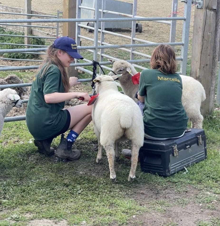 NFU Mutual Sevenoaks and Meopham tweet media