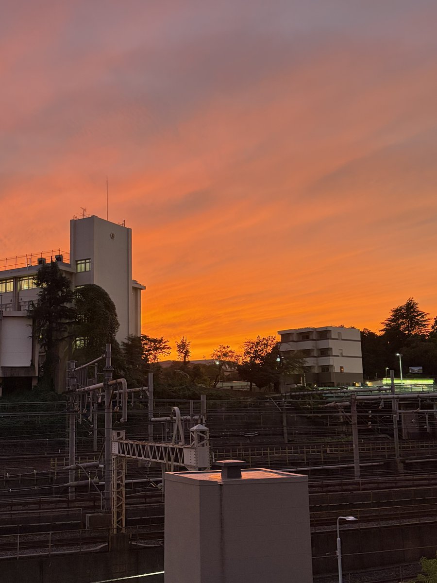 katu_titan's tweet image. マジックアワー的な✨
ふと空の色がきれいだったので📸

#夕焼け #トワイライト
