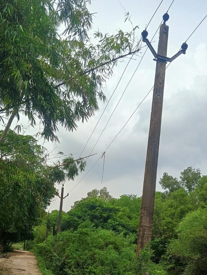 Sibu7890's tweet photo. @TPCentralOdisha ଏଥି ପ୍ରତି ଦୃଷ୍ଟି ଦିଅନ୍ତୁ, ଏ ଦୃଶ୍ୟ ହେଉଛି ଜଗତସିଂହପୁର ଜିଲ୍ଲା ଏରସମା ବ୍ଲକ ଢ଼ିଙ୍କିଆ ପଞ୍ଚାୟତ ର ମାହାଳ ଗାଁ ବାଇପାସ୍ ରାସ୍ତାର ୧୧ କେଭି ତାର ବାଉଁଶ ଗଛରେ ଲାଗି ବାଉଁଶ ବୁଦା କରେଣ୍ଟ ହେଇଯଇଛି ଯାହା ଆମ ମାନଙ୍କ ପାଇଁ ବିପଦ ସାଜିଛି।
ଯୋଗାଯୋଗ -8598914176 https://t.co/cOfefBImhS