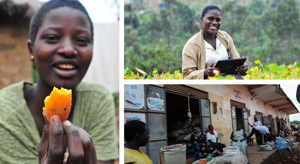 BiovIntCIAT_eng's tweet image. 🤔 Can digital innovation transform food systems?
In #Uganda, MSMEs are proving it can—boosting farmer access to inputs, advice, and nutritious food.
💡 Smart economics. Smarter nutrition policy.
🔗 Read more: allbiociat.org/3KEyDvo