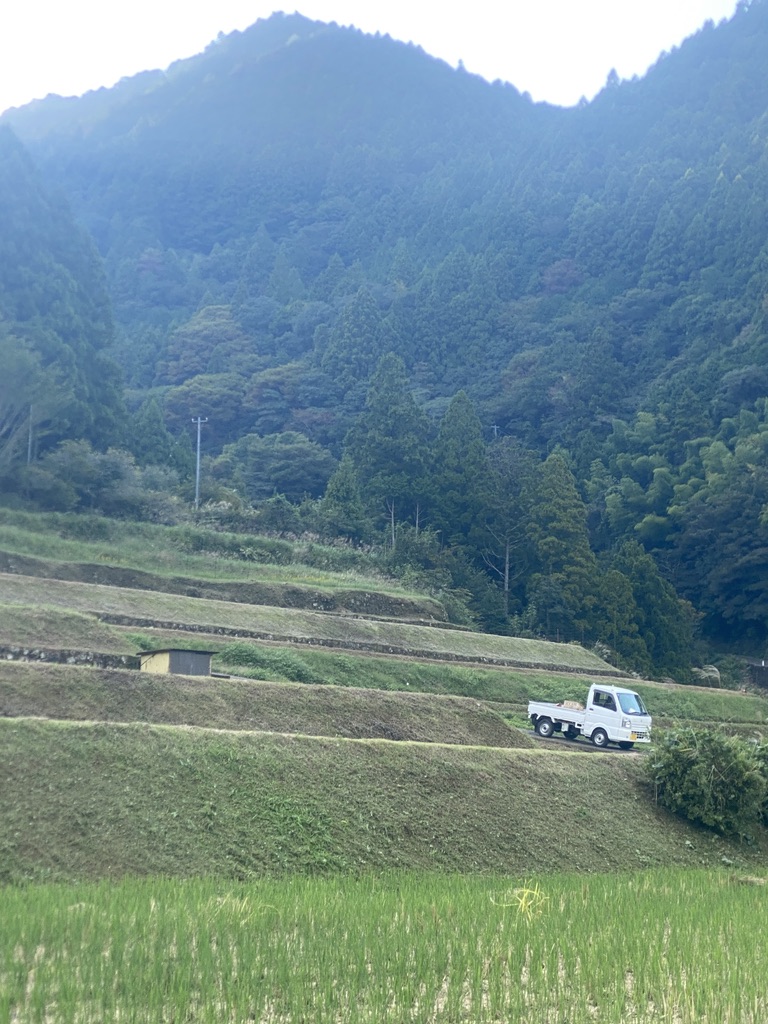 TgdGLd8AAnzOfDw's tweet image. 【誰がために草を刈る】
稲刈り後の田んぼをまた草刈り。中山間補助金の検査対策だという。これから寒くなったら草は枯れるし、春まで田んぼは使わん。急斜面の4反5畝、人を雇えば4万円。もらえるのは10万円弱＋役所はカメラ持って検査するだけ。
これ、誰のための補助金なん？農水省さん、教えて。