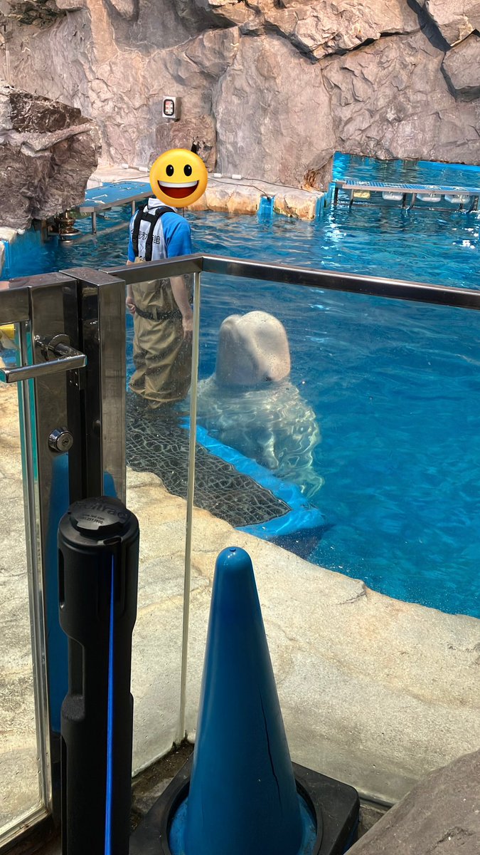 Elis_Revy's tweet photo. 20年ぶりくらいの名古屋港水族館 https://t.co/eJzKJRsYou