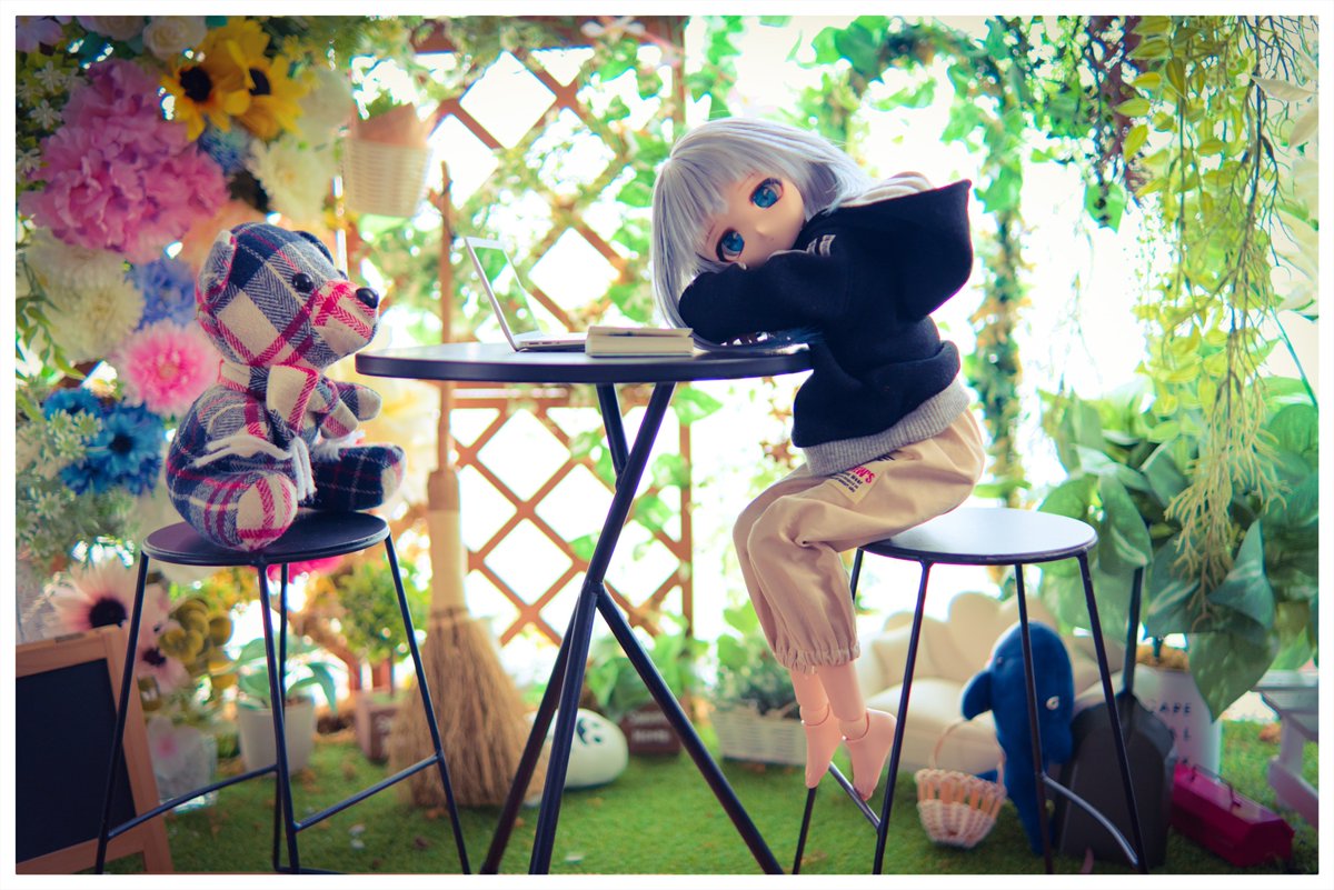 秋の午後。

#わにわっ娘