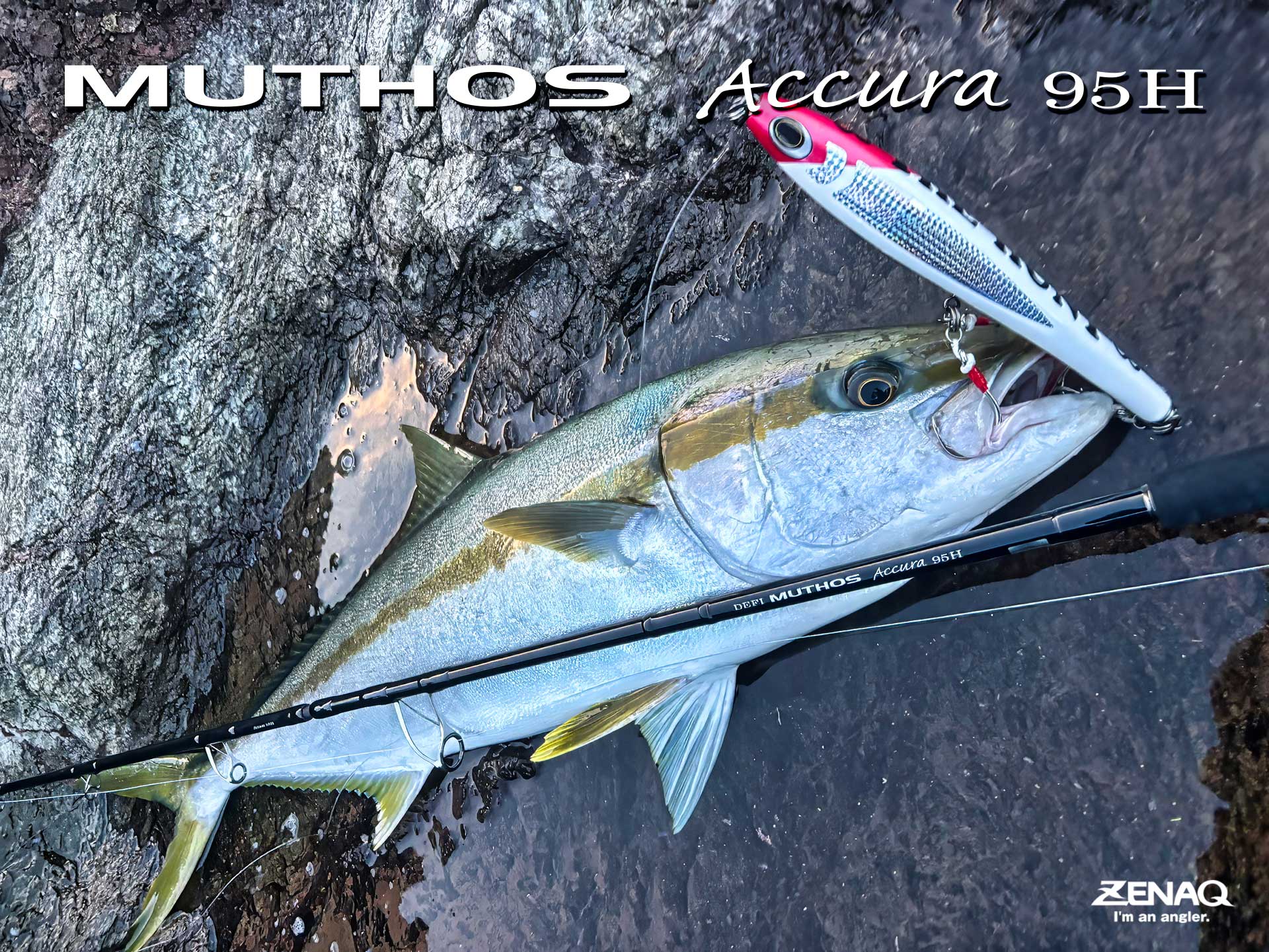 ZENAQ Daiwa ルアーロッド Expedition - ZENAQ(ゼナック) | オフィシャルサイト