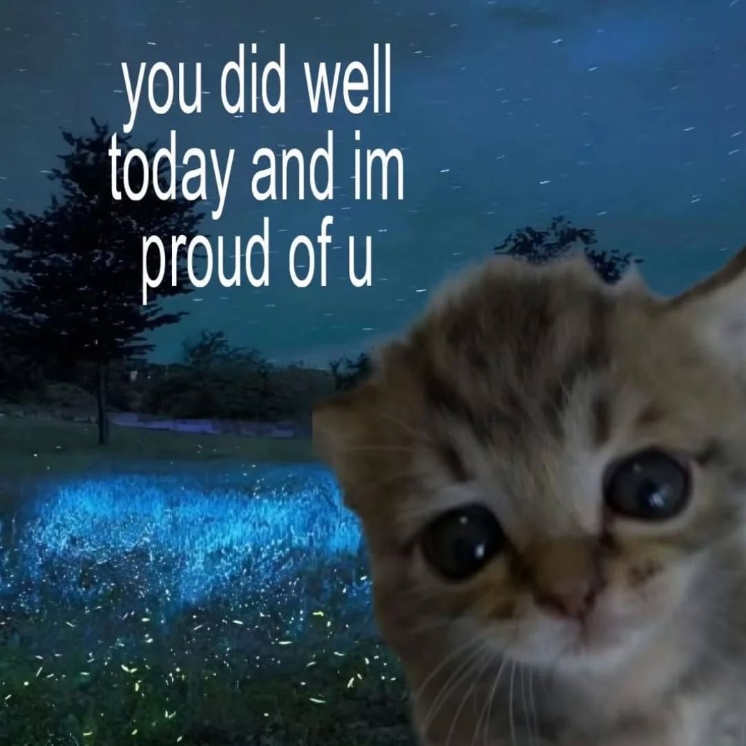 ShootaCat's tweet image. 