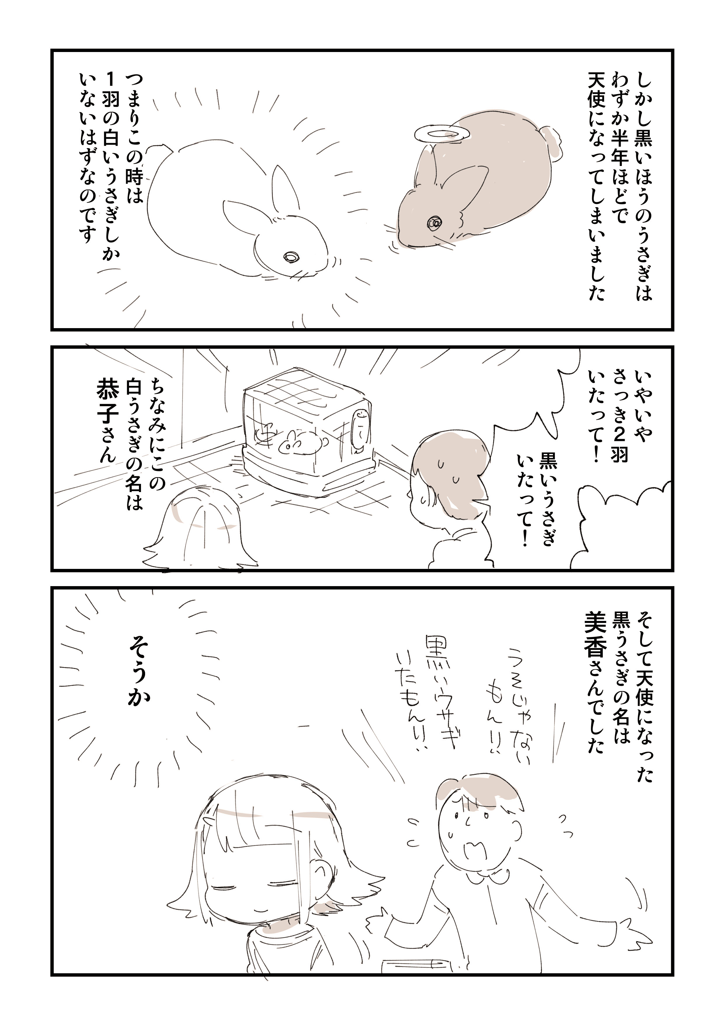 ぬこー様ちゃん@ロードバイク狂 (@nukosama) / X