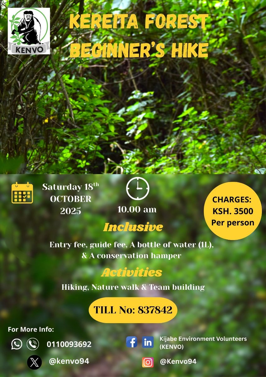 wacu_grace's tweet photo. It's hiking O'clock! Are you craving some connection with nature but you ain't a hiker? This is for you! Few slots remaining. Don't be left out. https://t.co/XMhDsAOqLU