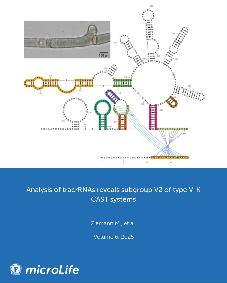 microLife tweet media