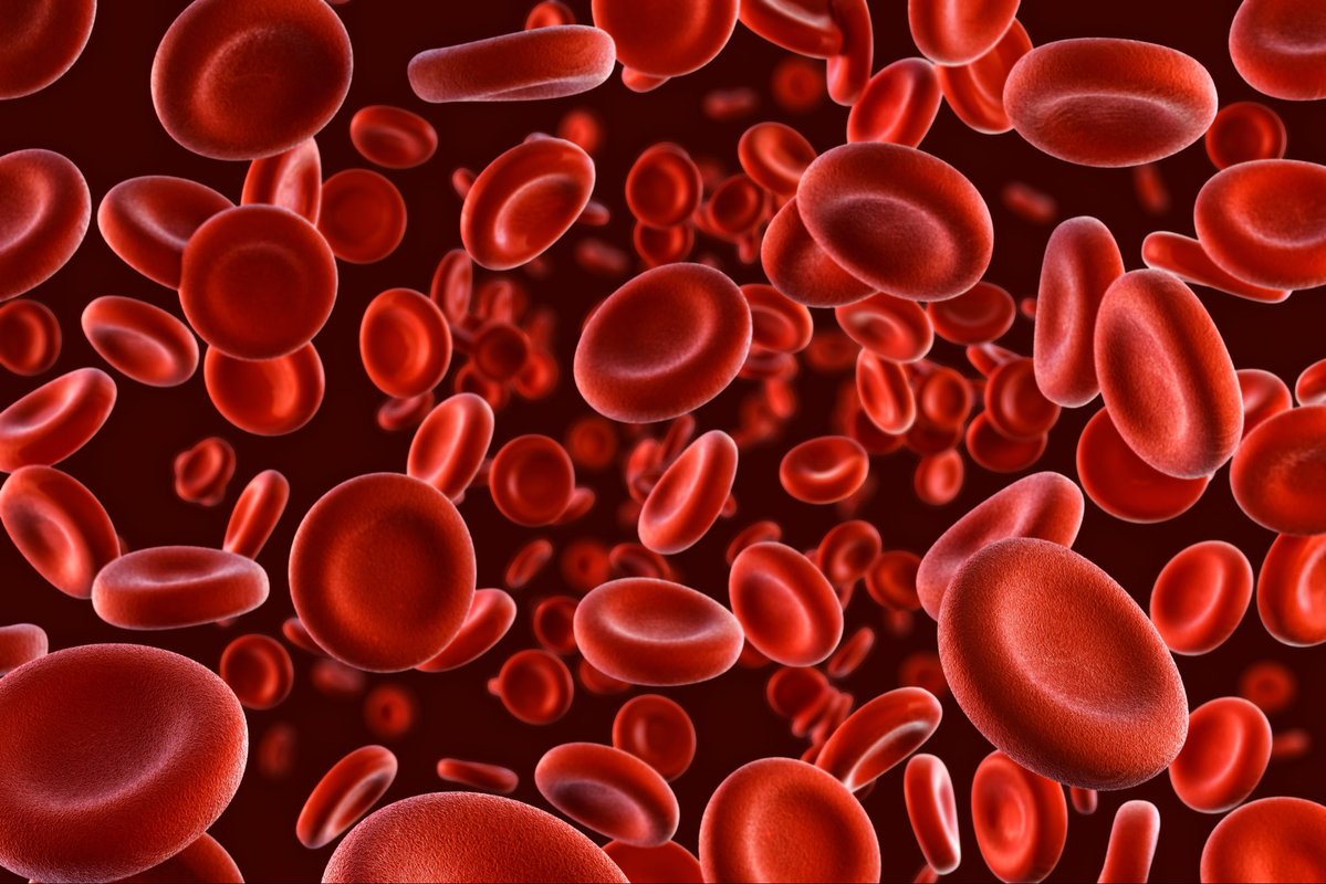 Your blood renews itself every 120 days.

What people fail to know is what you eat and drink today becomes your blood in just a few months to come. 

Feed it junk = the blood weakens and becomes diseased. 

Feed it right = the blood
strengthens and becomes energized.