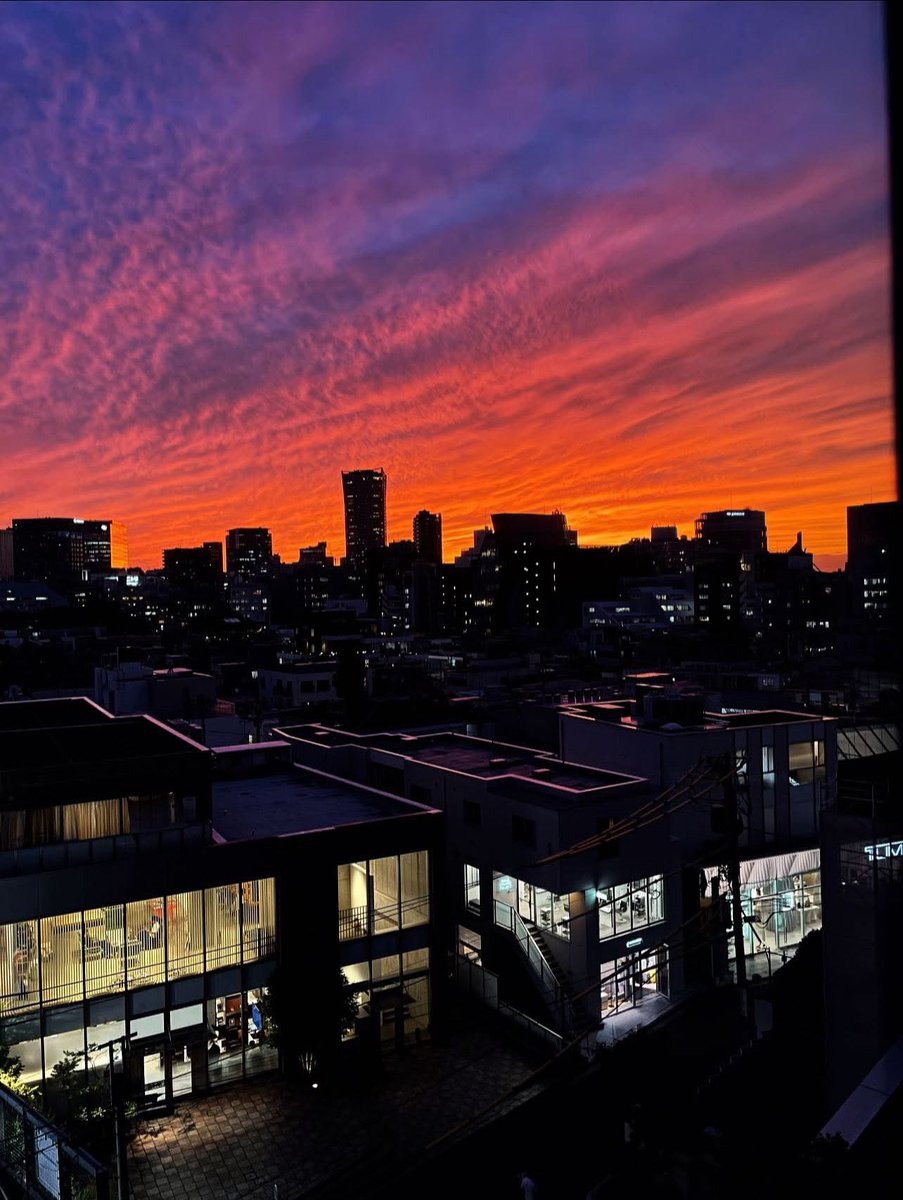 JNF_youth's tweet photo. 2025.10.08
綺麗な夕焼けでした。

#イマソラ
#夕焼け
#東京
#日本看護連盟 https://t.co/cA1203vJwV