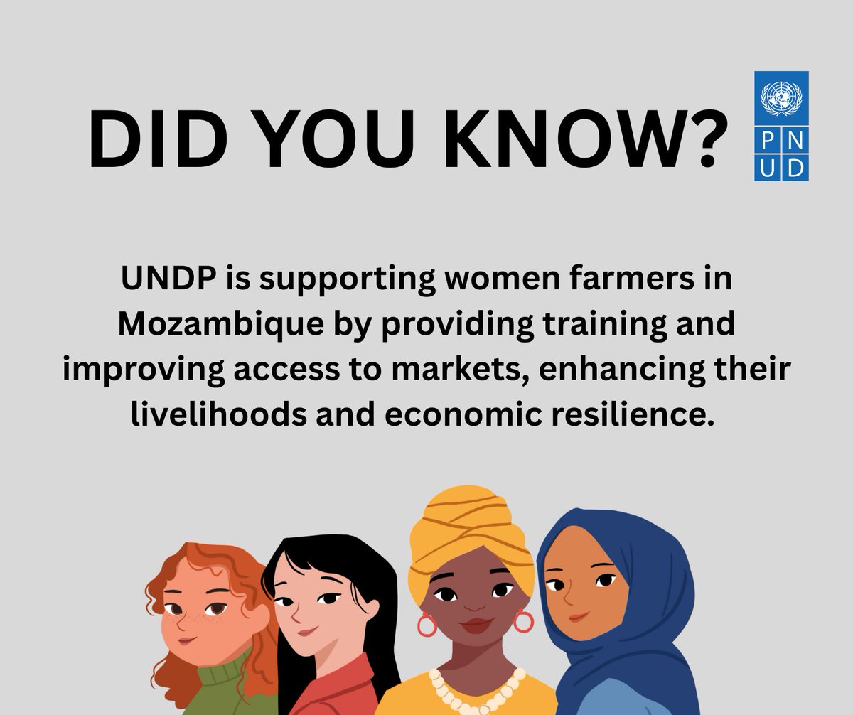 UNDP in Mozambique (@undpmozambique) on Twitter photo 