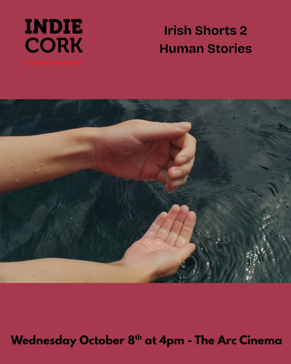 IndieCork Film Festival tweet media