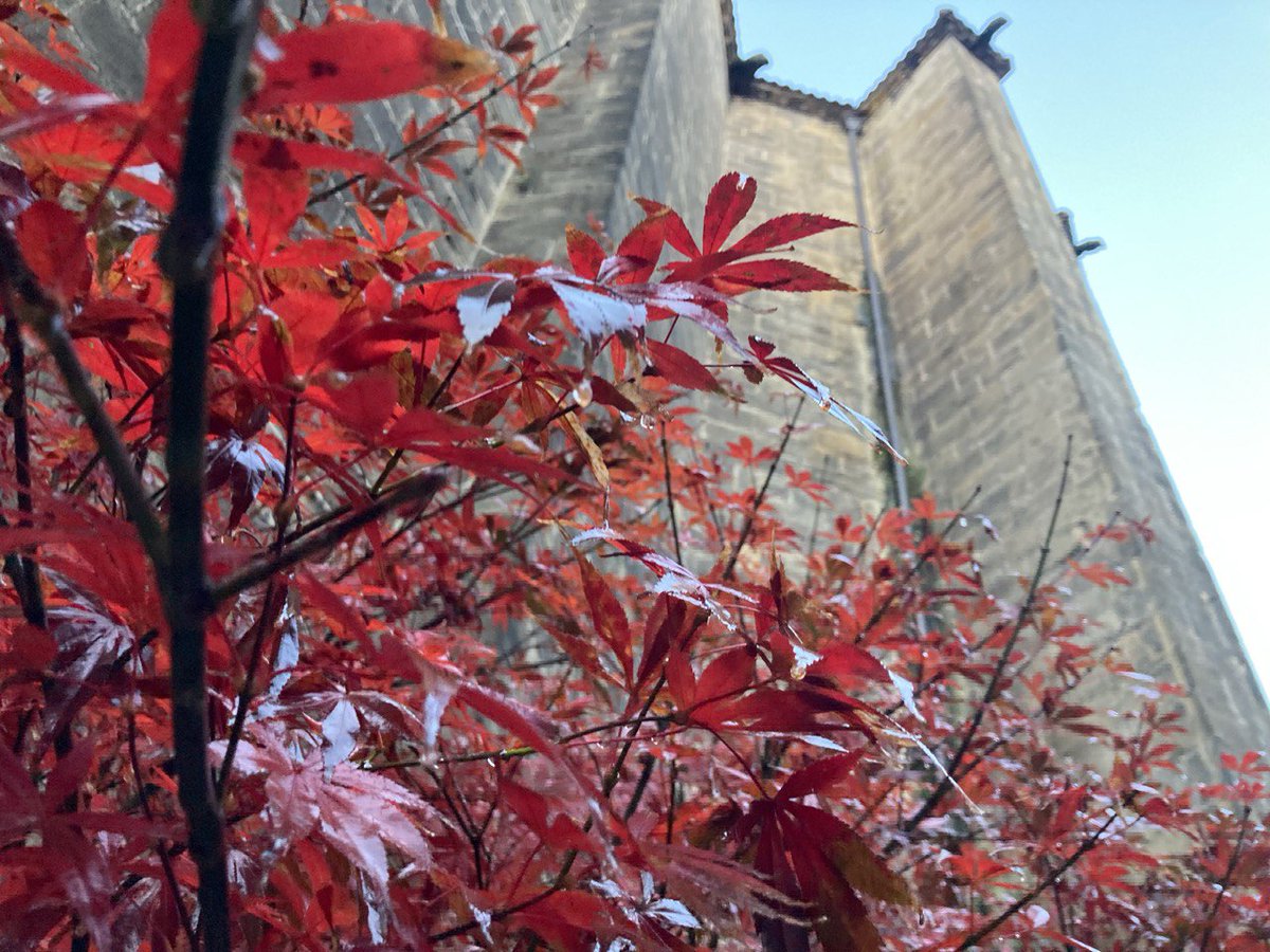 #AldeZaharra #Eliza #Hostoak #Orereta #Errenteria