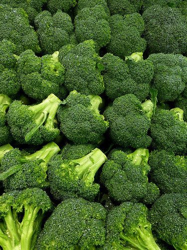 MichelOfficial_'s tweet photo. ✅ #BroccoliFarming 🥦
Broccoli farming involves growing a nutritious and high-value vegetable known for its health benefits and market demand. It thrives best in cool climates with temperatures between 15–20°C.
#InvestInAgriculture
#AgricultureIsLife https://t.co/zAg4XW0Nbh