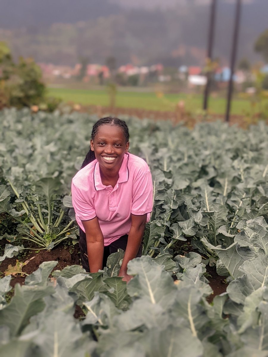 MichelOfficial_'s tweet photo. ✅ #BroccoliFarming 🥦
Broccoli farming involves growing a nutritious and high-value vegetable known for its health benefits and market demand. It thrives best in cool climates with temperatures between 15–20°C.
#InvestInAgriculture
#AgricultureIsLife https://t.co/zAg4XW0Nbh
