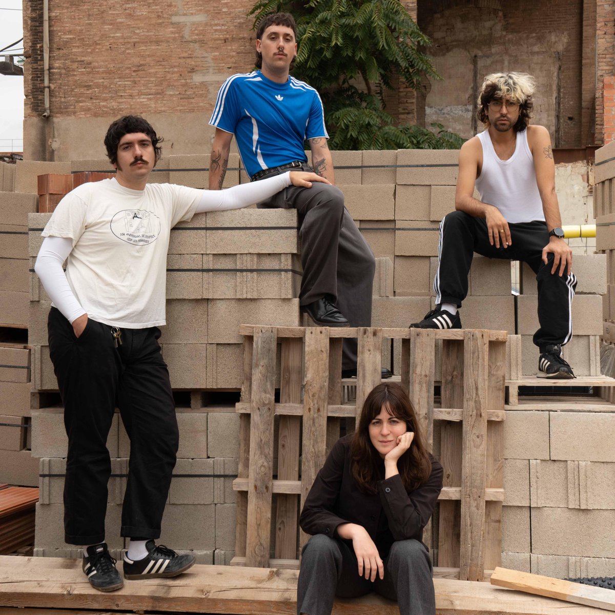 nueva pfp, esta es la vibra